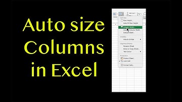 How to Automatically Resize Columns in Excel
