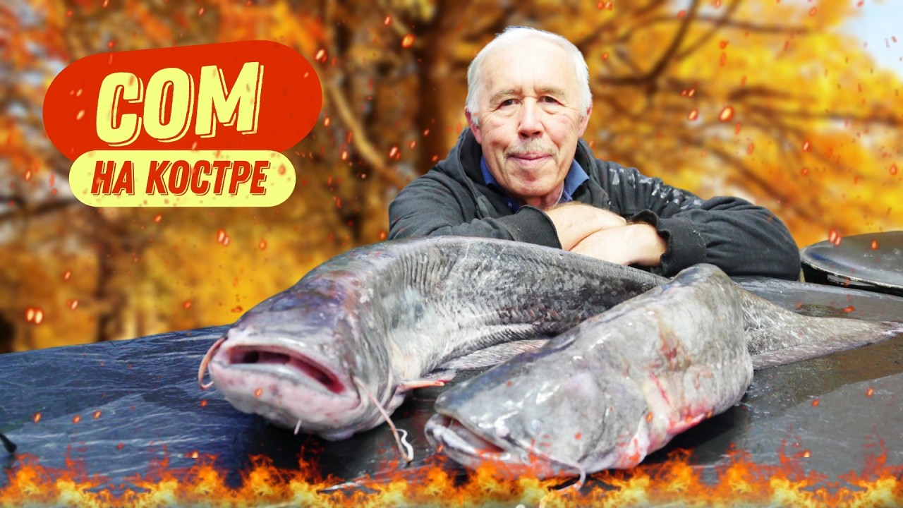 Забытые рецепты из Сома: Так рыбу уже не готовят, а зря!