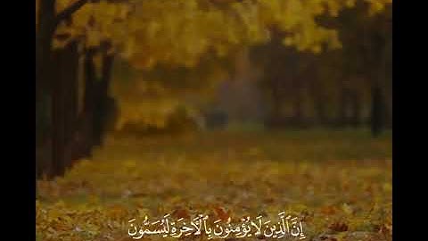ما تيسر من سورة النجم القارئ صلاح مصلي