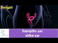 मासिक चक्र और हार्मोनल प्रक्रियाएँ