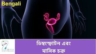 OVULATION & THE MENSTRUAL CYCLE | BENGALI