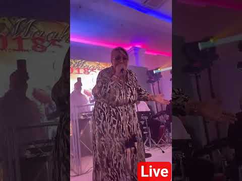 Cheikha Hajela 2025 Live مدحات شيخا حجلى Madaht Rai تيك توك تيك توك