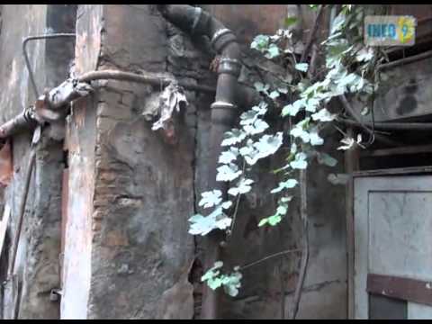 დადიანის ქუჩის მცხოვრებლები