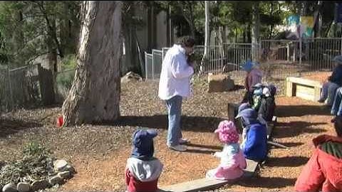 EYLF TAPS NQS PLP - Reflecting on practice Part 1 of 4