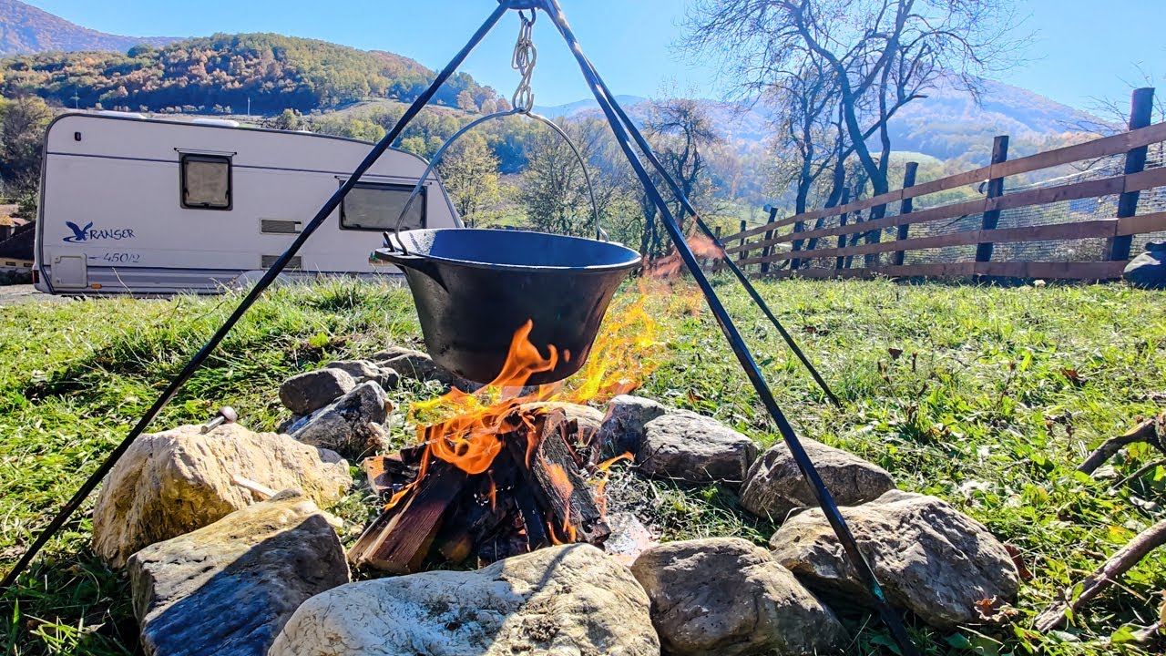 Am GATIT LA CEAUN si am curatat pomii | Activitati din jurul rulotei