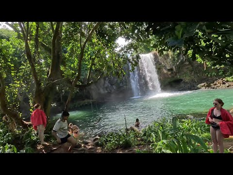 Minissy Waterfall 🇲🇺 | Not many people knows about this wonder place it's like a Paradise on earth