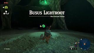Legend of Zelda: Tears of the Kingdom - Burus Lightroot Gameplay Walkthrough screenshot 4