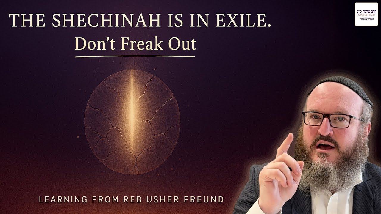 The Shechinah is in Exile. Don’t Freak Out | Learning from Reb Usher Freund zt"l (14)