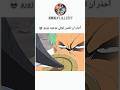 احذر ان تلمس لوفي بحضور زورو Onepiece Luffy Zoro Anime Shorts 