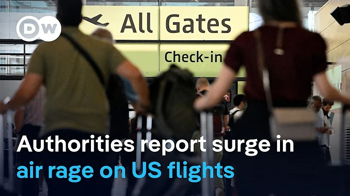 Why are increasing numbers of passengers losing their minds mid-air? | DW News