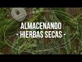 🌱 Cómo almacenar HIERBAS secas 🌱