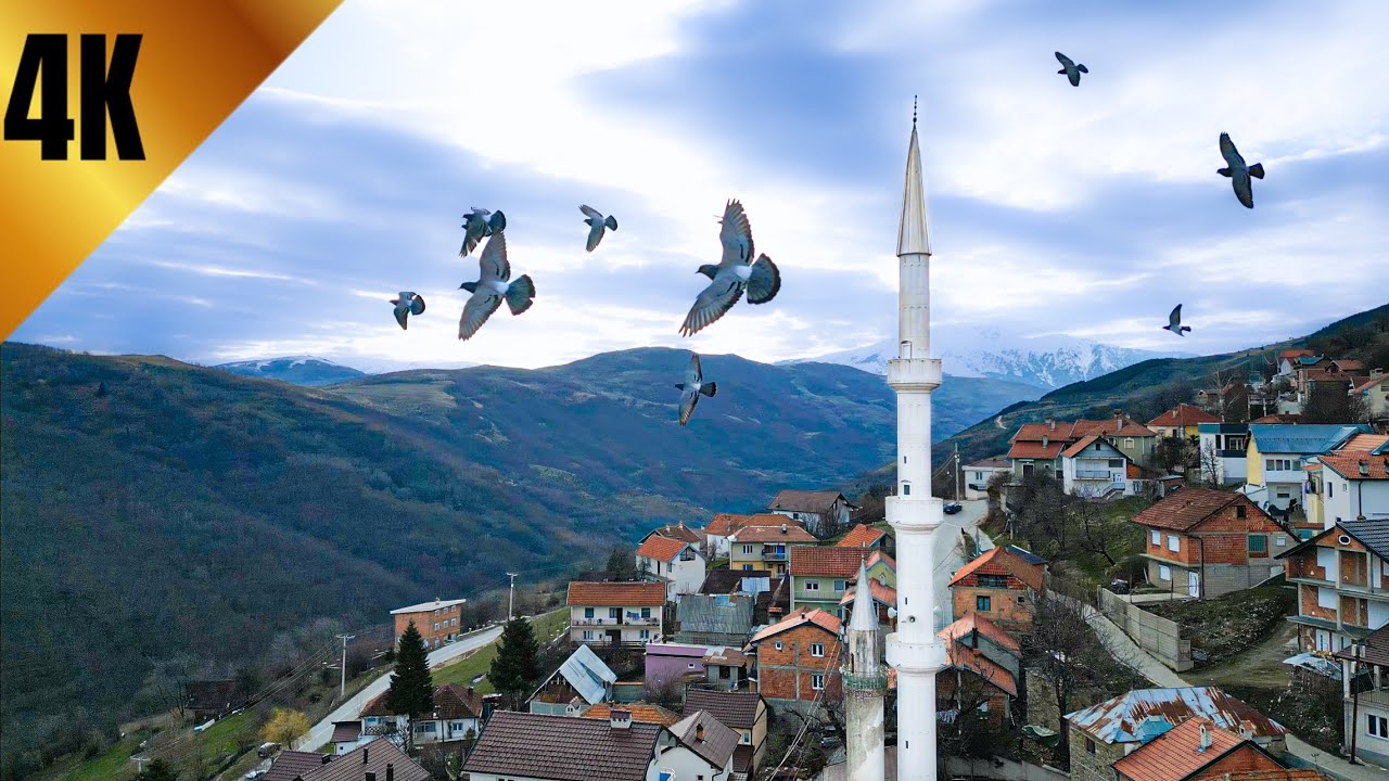 Globocica i Njena Lepota