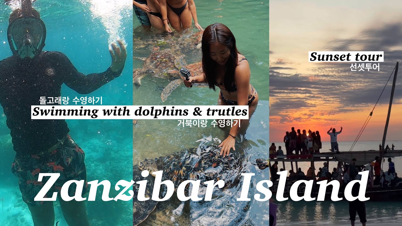 SWIMMING WITH DOLPHINS IN ZANZIBAR | International couple Africa vlog | nanafai