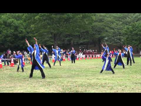 舞い星（あっぱれ富士2016本祭）芝生会場