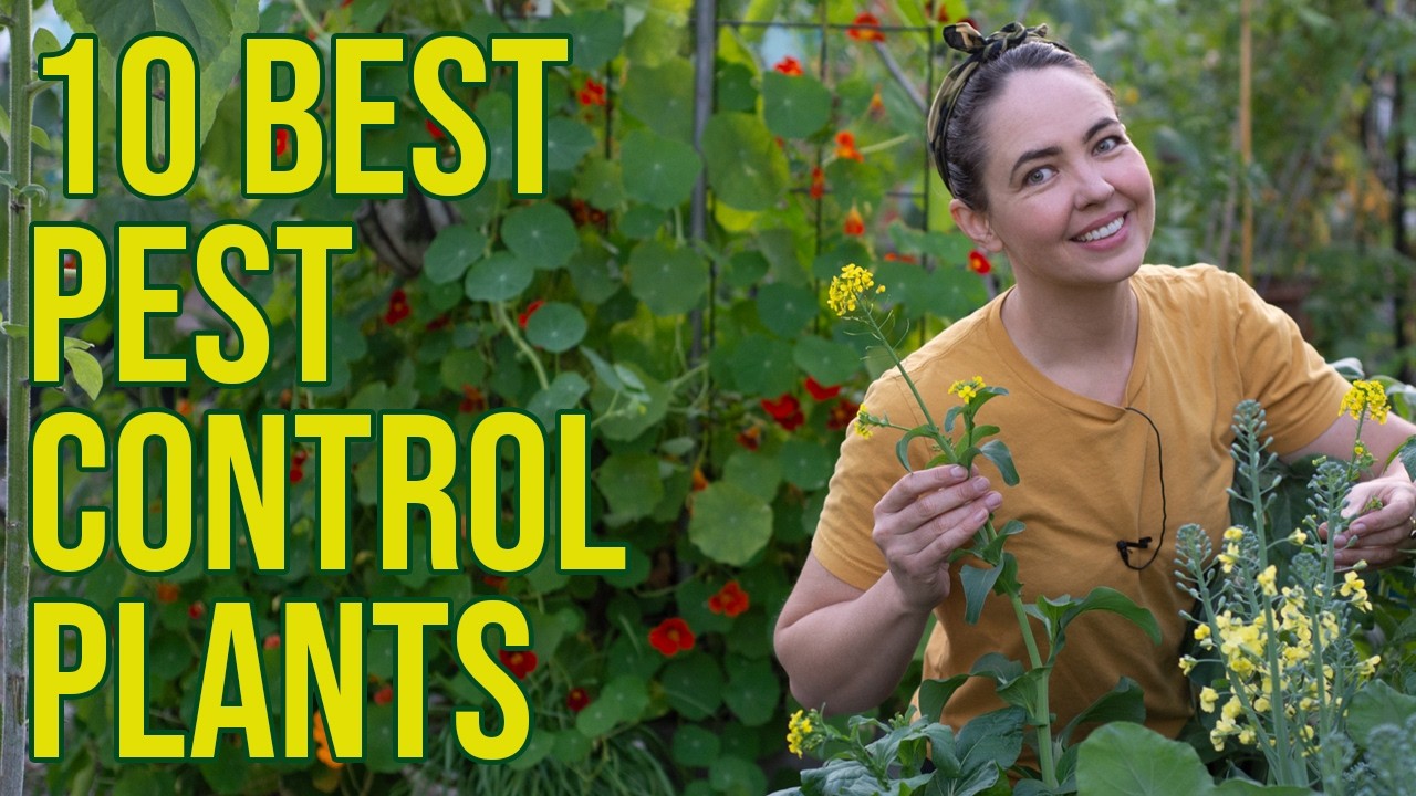10 Florida Garden Companion Plants to Repel Pests Naturally