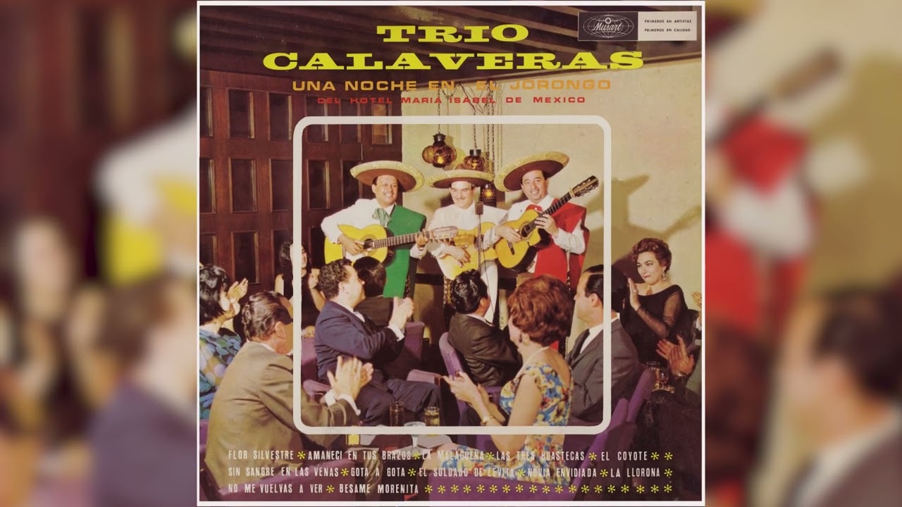 Trío Calaveras - Las Tres Huastecas (Visualizador Oficial)