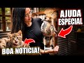 Dia de cuidar das pernas do Grou | Cadê os Gatinhos ? Encontramos uma casa pra eles | Aves Recriar