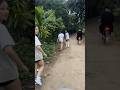 Hữu duyên gặp các em đang đi thể dục