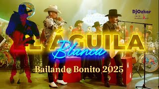 Grupo Firme x Los Tucanes de Tijuana [ El Águila Blanca ] LETRA 2025