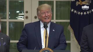 President Trump Remarks on Census Citizenship Question July 12, 2019