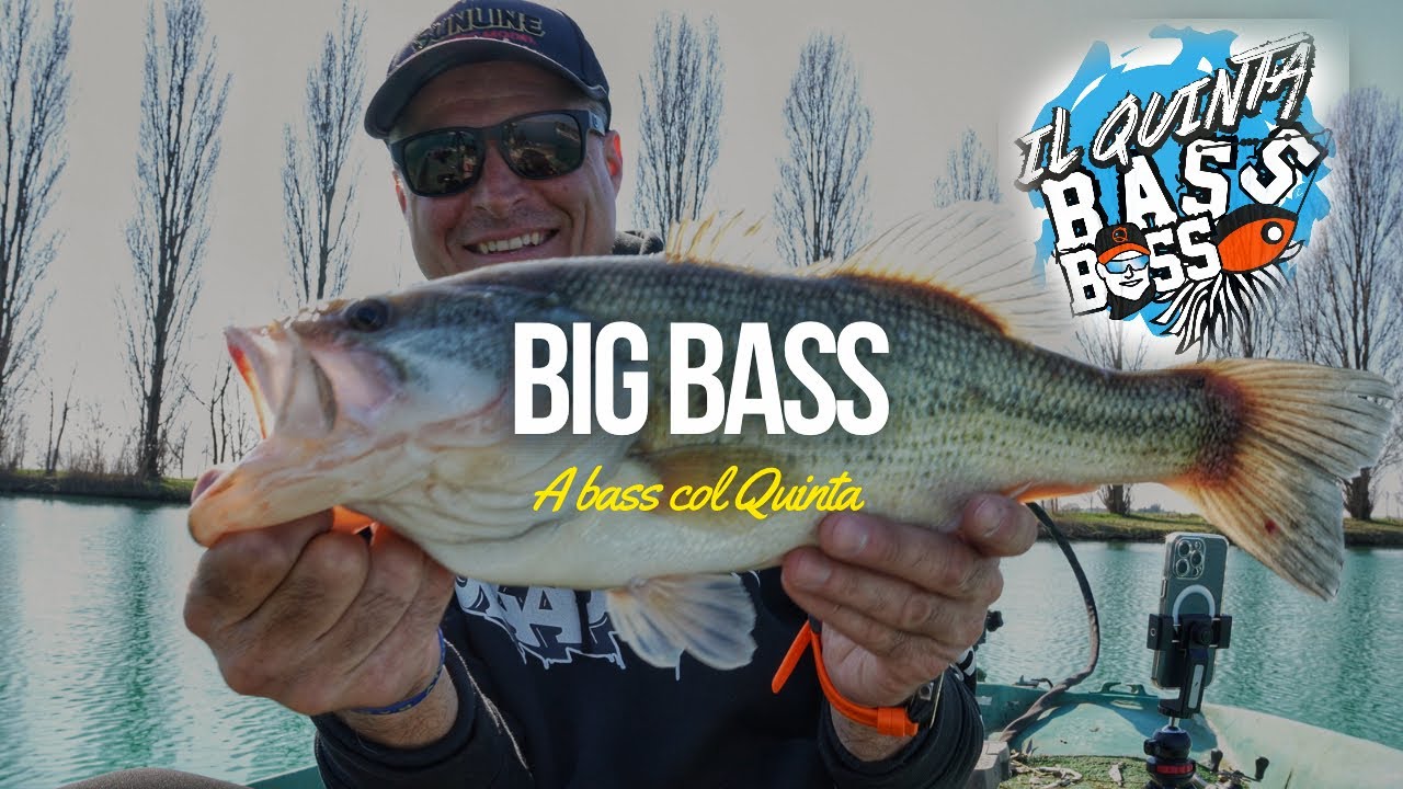 A BASS COL QUINTA – POCHI MA BUONI