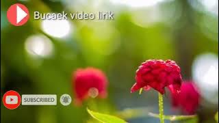 putus cinta taberalasan -andra raspati