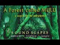 A Forest Called Mulu - A Search For The Unexplored (1997)