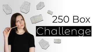 250 Box Challenge: Should You Do It? My Experience + Advice