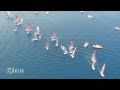 2010 rsx youth world windsurfing championships full race from aerial view