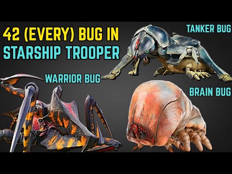 Video: Bug soldier: characteristics of the species, features and interesting facts