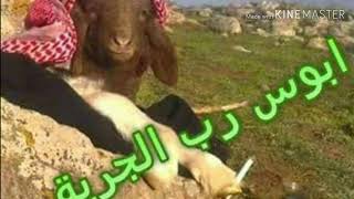 خضر الناصر هدومي سود ديرالزور