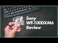 都内で働くサラリーマンがWF-1000XM6を使ってみて 音質やノイズキャンセリング性能を各項目でレビュー【546】