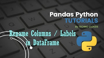 How to Rename Columns in Dataframe | Pandas Tutorials