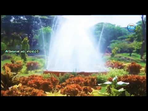 Nee parkama poriyae ithu tamil 5.1 hd video song 🎸🎸🎸