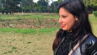 Pre Wedding Video 2K19 Manoj Thakur Palvi Thakur Ravi Thakur Photography