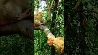 Why she afraid of Ashley?