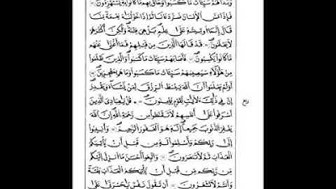 تلاوة طيبة للقارئ محمد علي فضيل