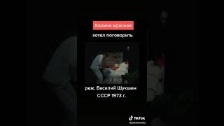 Калина красная...