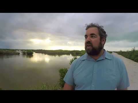 Human Ecology and Mangrove Wetlands