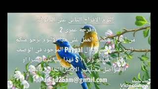 ٩/... ودع العزوبية من ألبوم الأفراح الثاني (فرحة عمري) على الدفوف