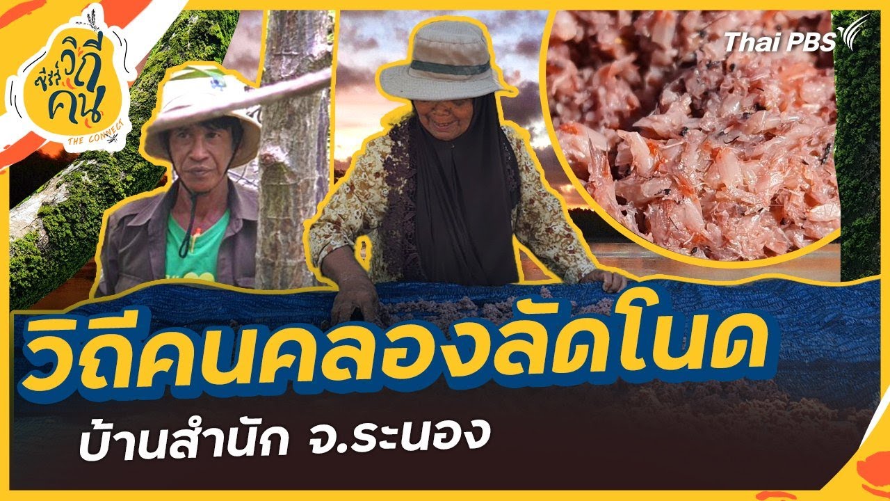 วิถีคนคลองลัดโนด บ้านสำนัก ต.ม่วงกลวง อ.กะเปอร์ จ.ระนอง | ซีรีส์วิถีคน