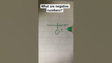 What are negative numbers?