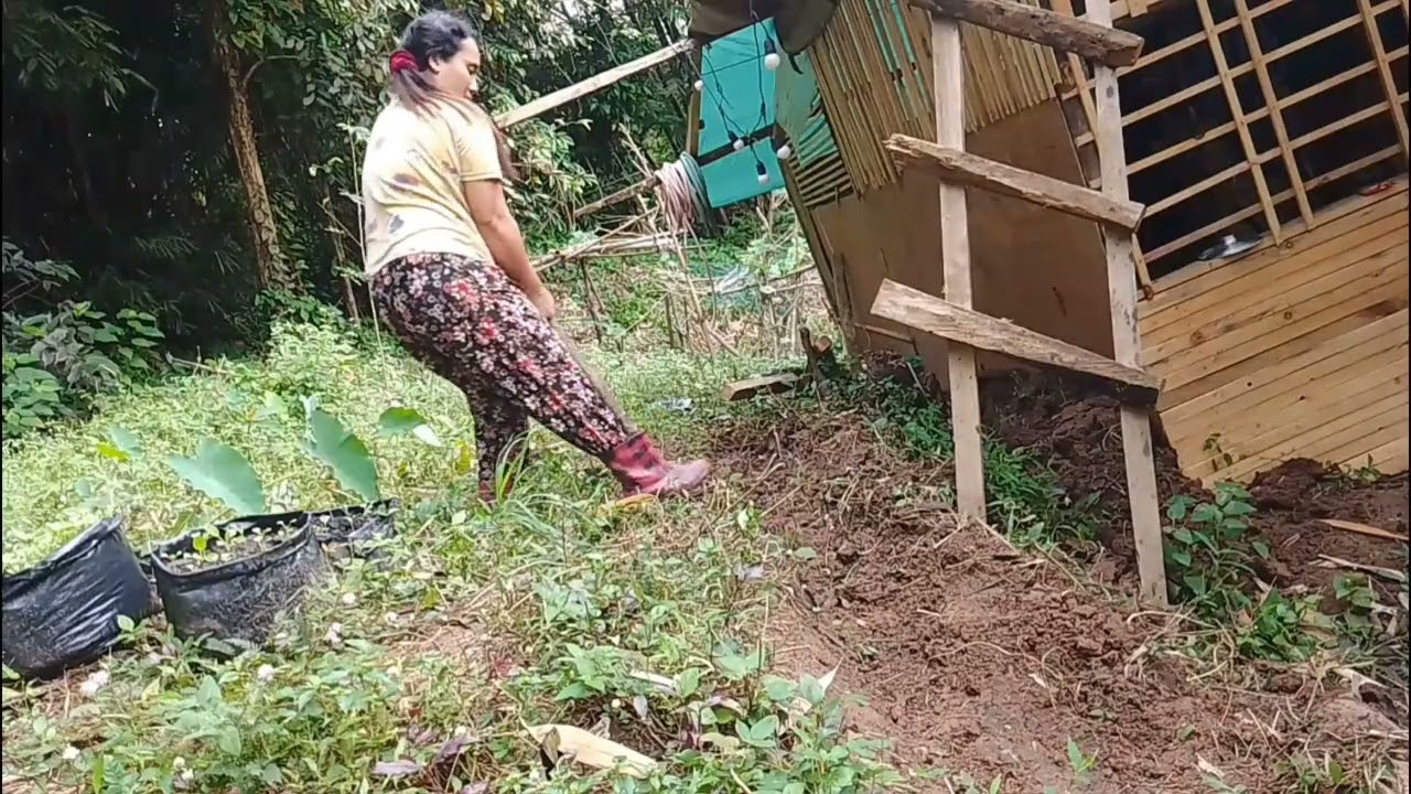 Happy Chinese new year 