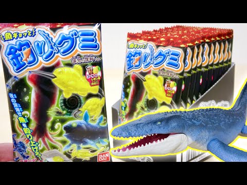 【みっこ】サメ図鑑(ブルー)/深海魚(ネイビー)/恐竜(ベージュ) 計9点 みっこ】サメ図鑑(ブルー)/深海魚(ネイビー)/恐竜(ベージュ) 計9
