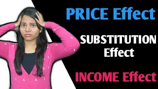 Chapter 2.18 : PRICE EFFECT - SUBSTITUTION EFFECT & INCOME EFFECT - Business Economics CA Foundation