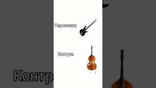 Бас і контрабас #музика #бас #мем #контра #контрабас