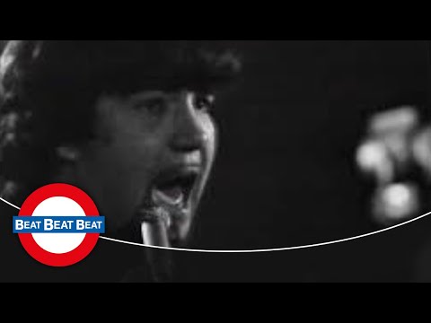 Johnny B. Great & The Quotations - In The Midnight Hour (1966)