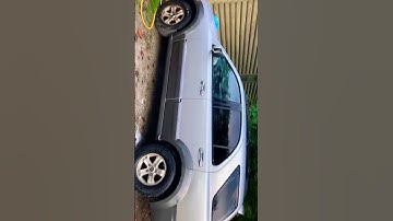 Remove the tree sap on your car in this 1 easy step!!! 🚘