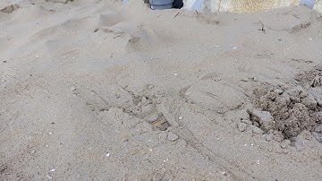 Test Vryhof stevpris MK6 anchor (scale 1/50)