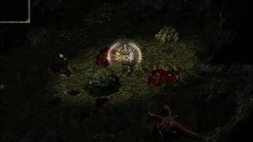 Divine Divinity - BOSS: Iona